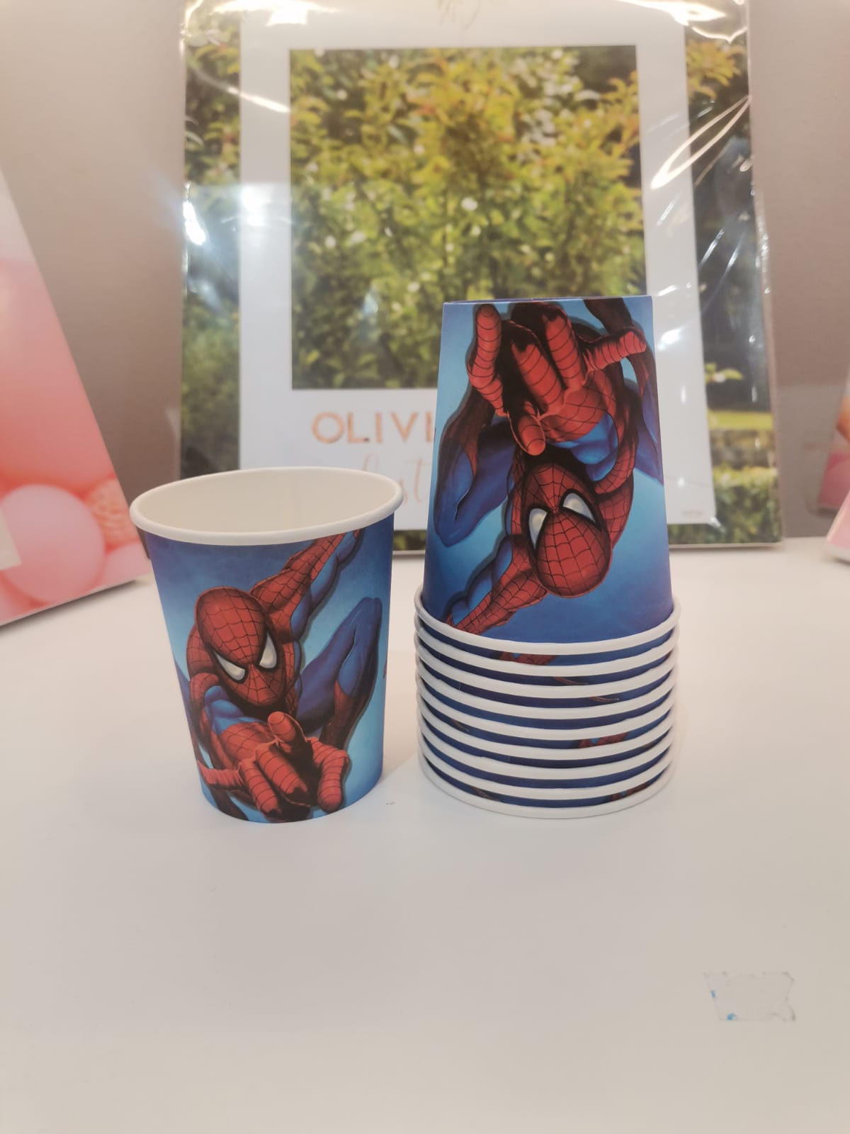 Spiderman theme set