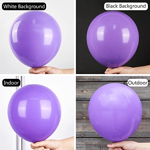 Purple Latex Balloon